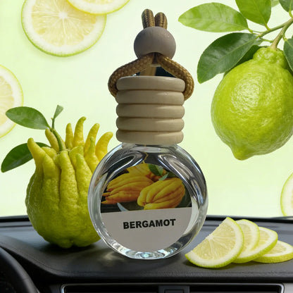 Parfum Auto aux Huiles Essentielles - Diffuseur Longue Durée